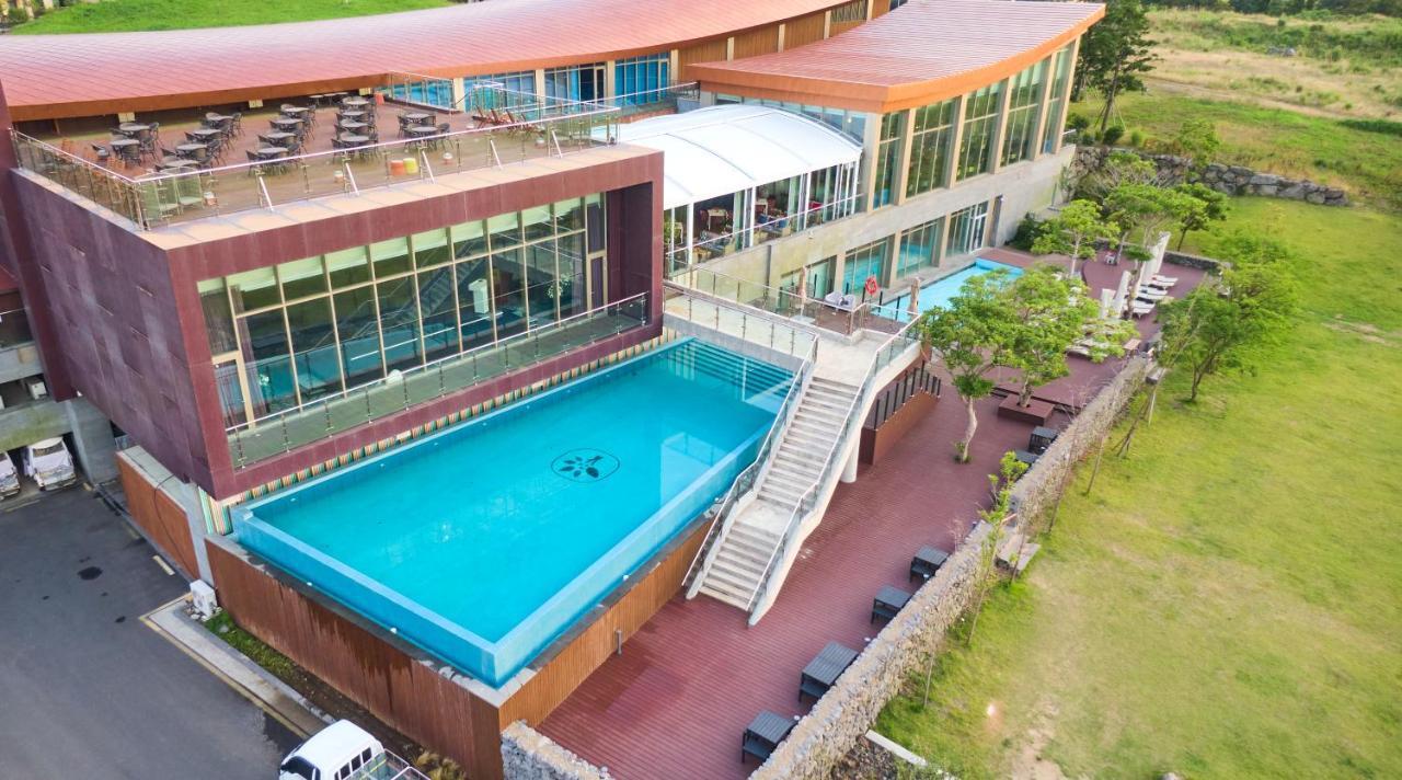 Camphortree Hotel And Resort Jeju Ngoại thất bức ảnh