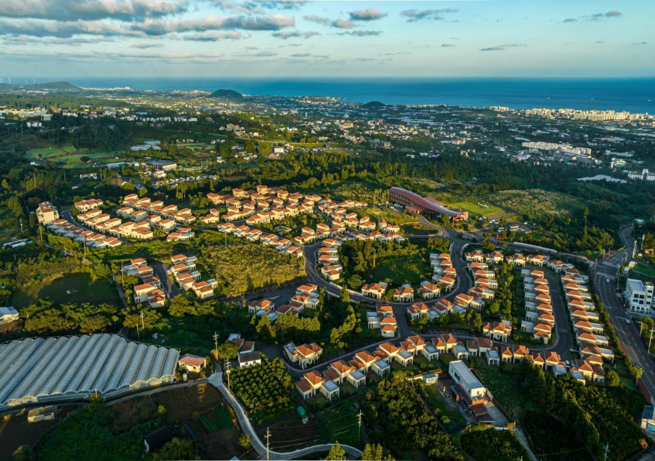 Camphortree Hotel And Resort Jeju Ngoại thất bức ảnh