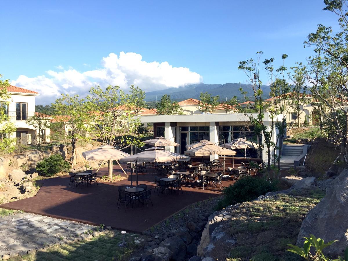 Camphortree Hotel And Resort Jeju Ngoại thất bức ảnh